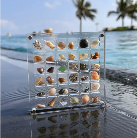 Acrylic Seashell Display Box