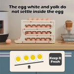 Fridge Egg Storage