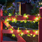 Ivy Fairy String Lights