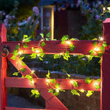 Ivy Fairy String Lights