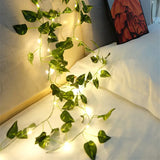 Ivy Fairy String Lights